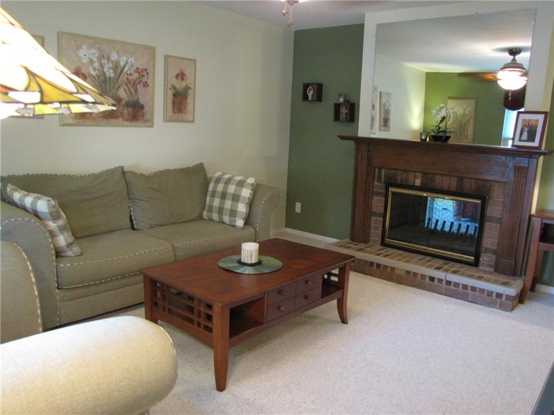 Living Room See-Through Fireplace