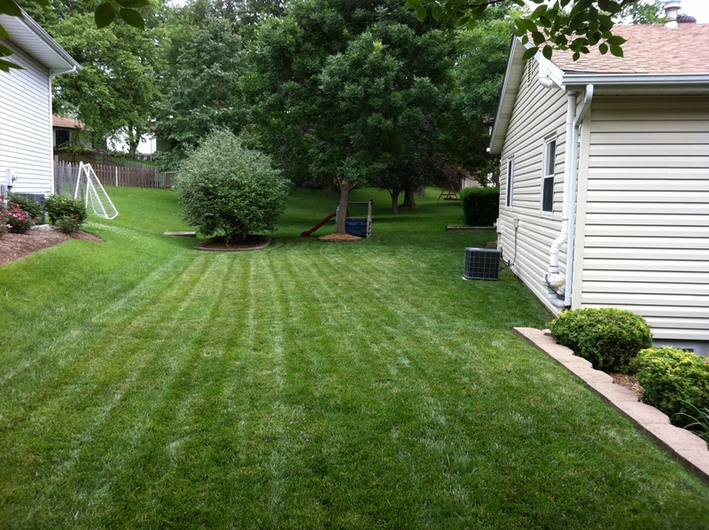 Nice Flat  Yard to Play Ball!