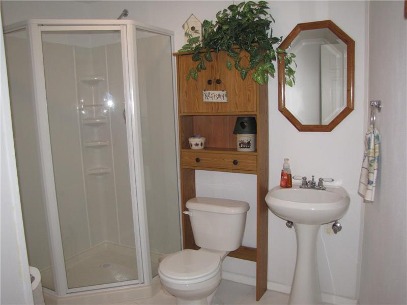 Lower Level Bath