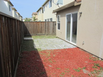 Back yard