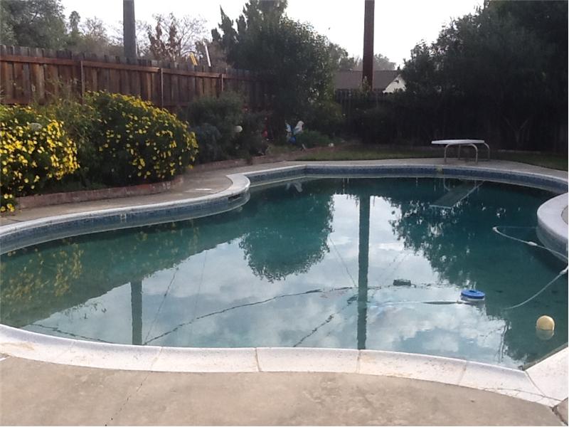 sparkling pool in backyard
