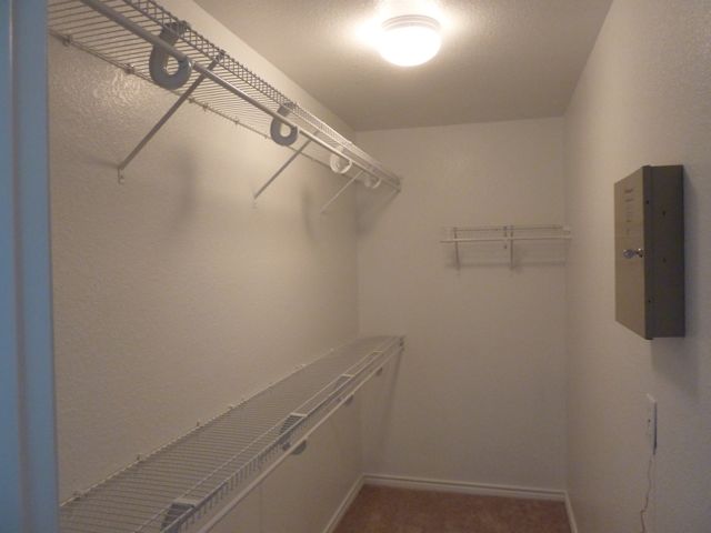 The master bedroom has a large walk-in closet!