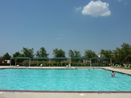 Take a swim on a warm summer day.