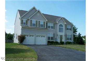 Primary listing photos for listing ID 135934