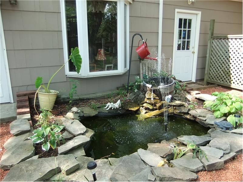 Koi pond