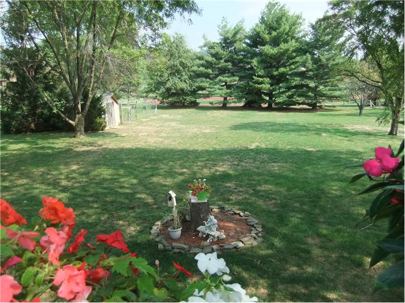 Park-like back yard
