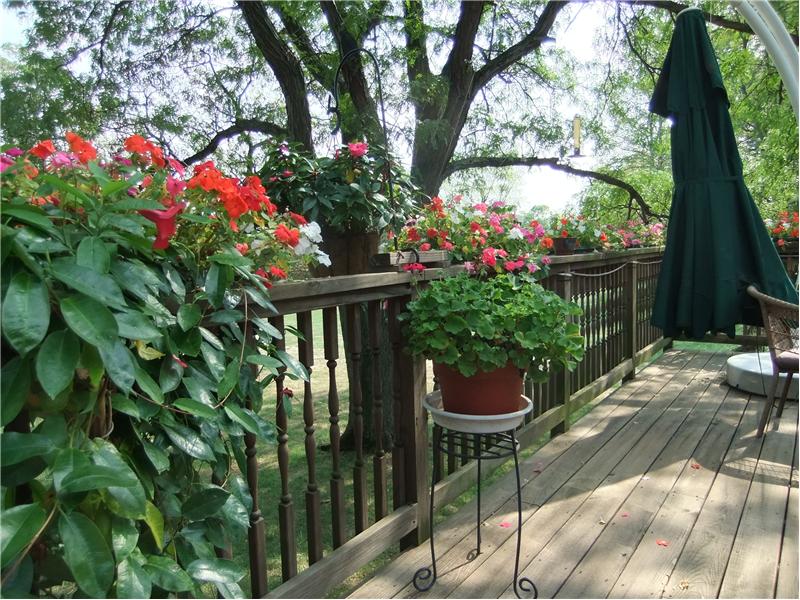 View of deck