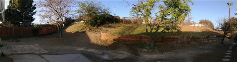 Panaorama Rear yard view