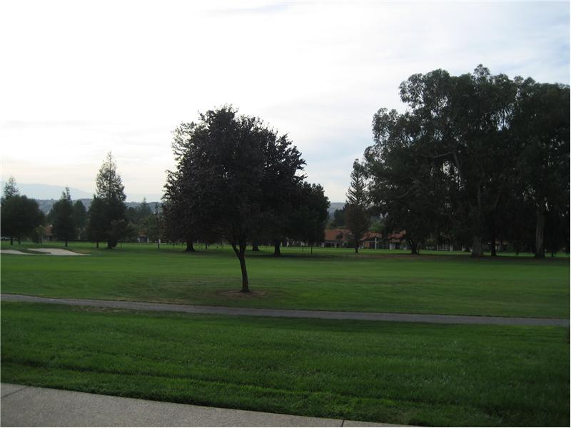 View of Golf Course From Patio