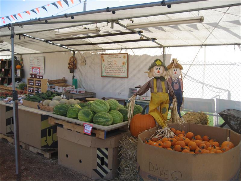 Fresh Fruit and Vegetable Stand