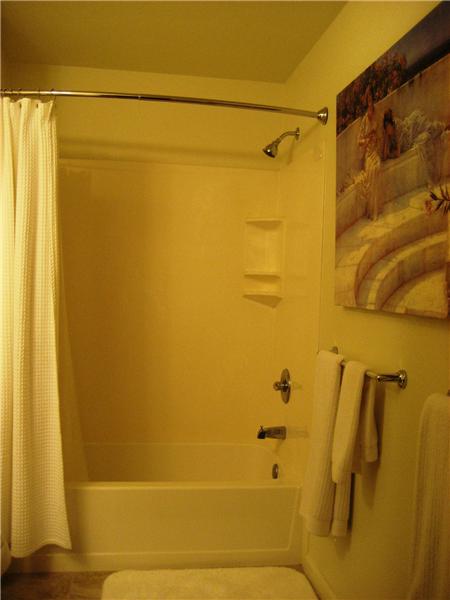 Full Hall Bath - Shower over Tub