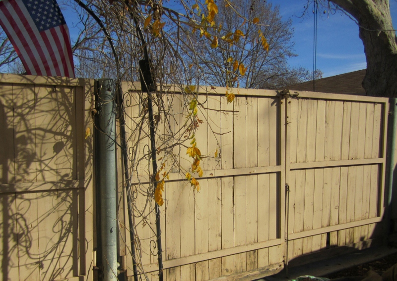 Large gate out to driveway