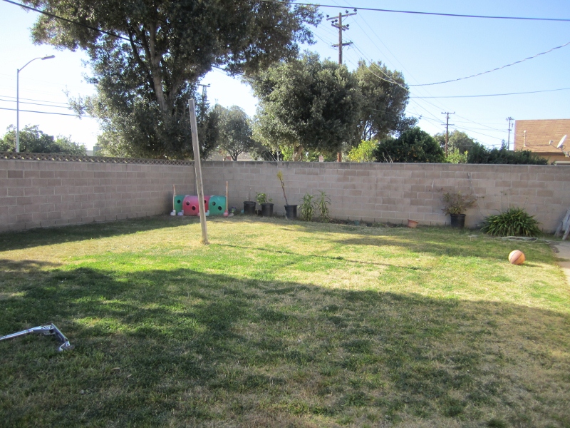 Back yard