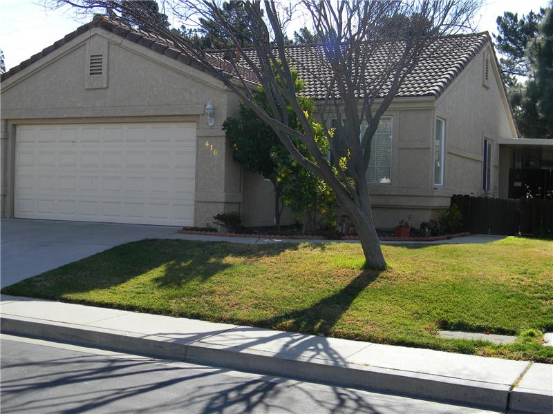 Nice curb appeal with citrus trees and a nice big shade tree in the summer