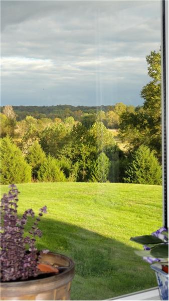 Gorgeous Views