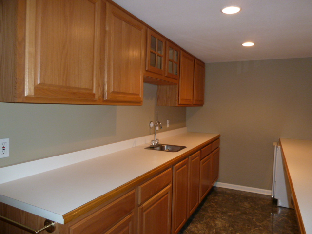 Wet bar lower level