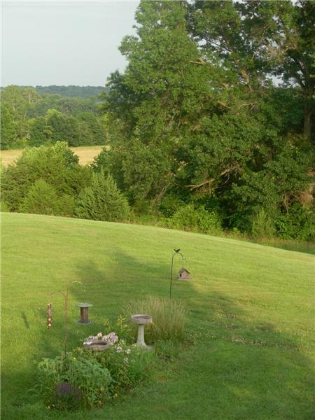 More views of backyard 