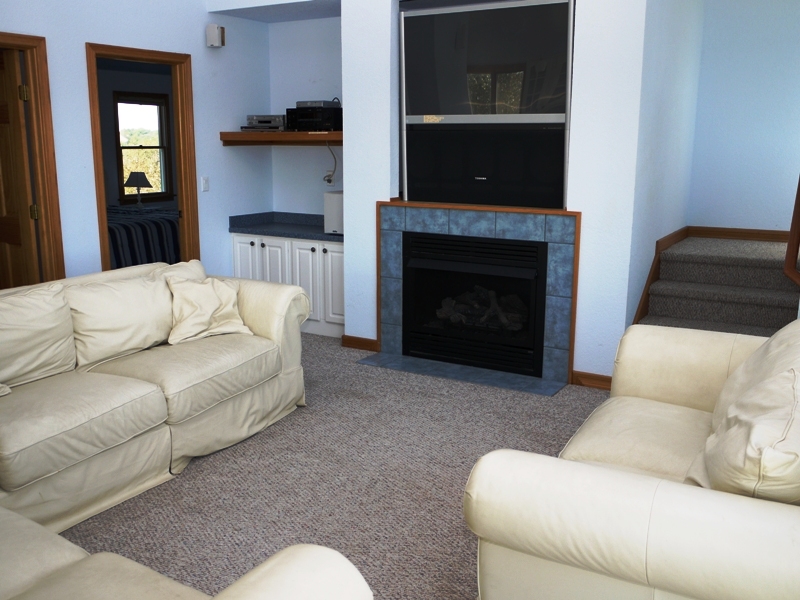 Living room has a gas fireplace