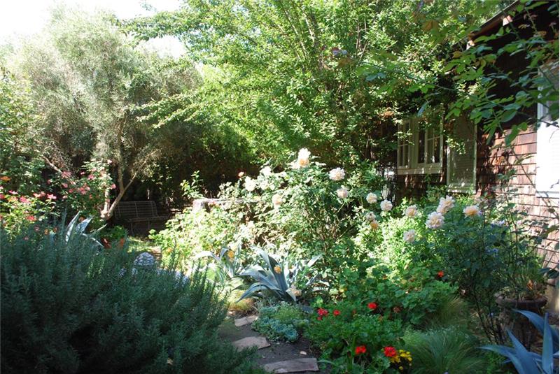Rose & Herb Garden