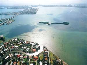 Belle Meade East View Facing Biscayne Bay