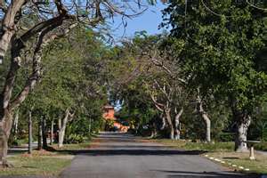 Belle Meade Neighborhood Sample of Streets