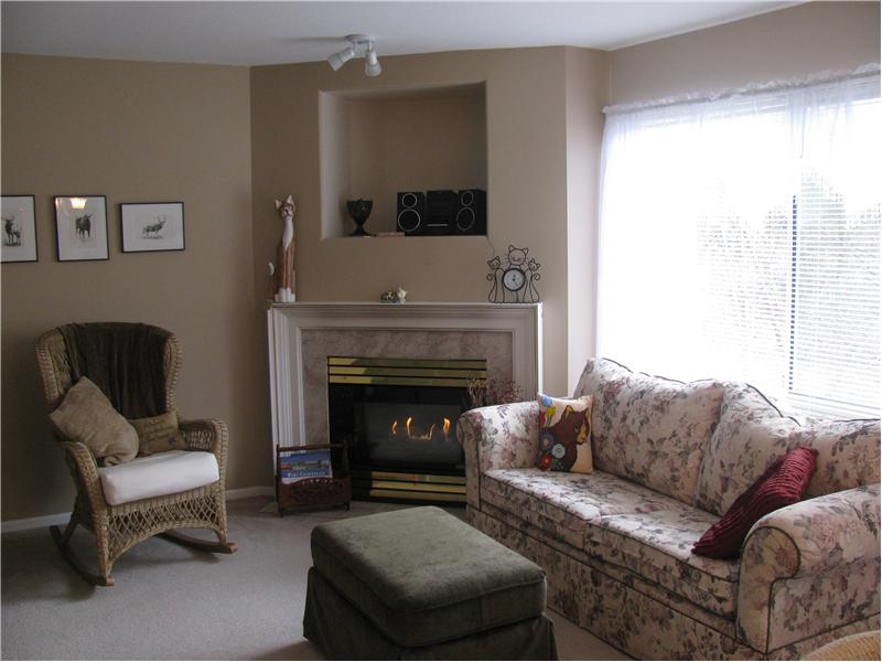 Living room with corner gas fireplace