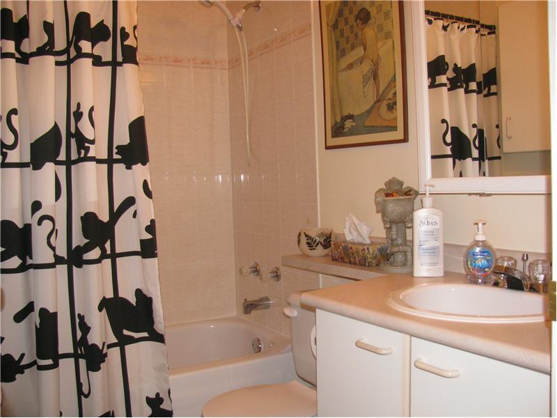 Main bathroom