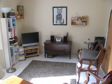 Rec or Hobby room