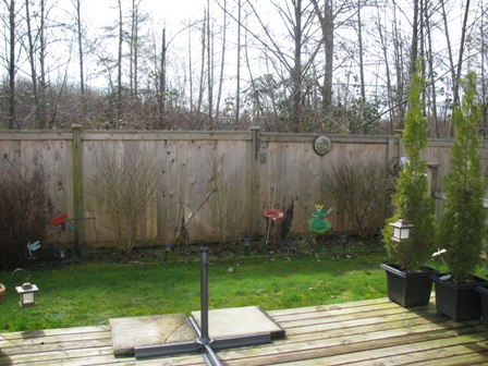 Fully fenced backyard