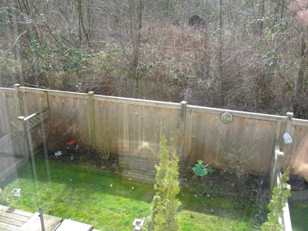 Backyard showing greenbelt