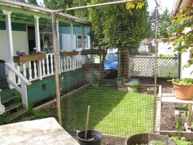 Side yard great for gardening