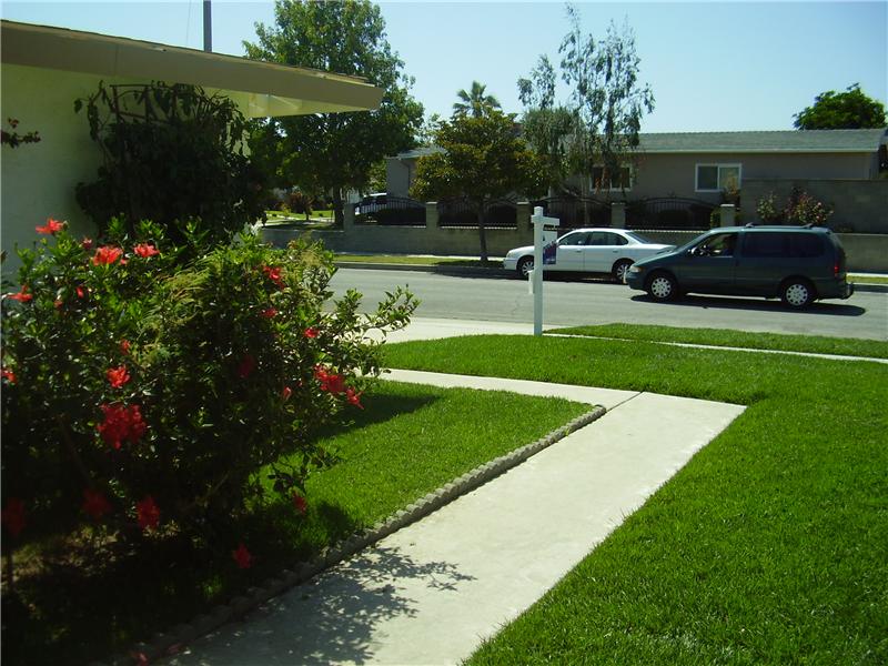 View of Street