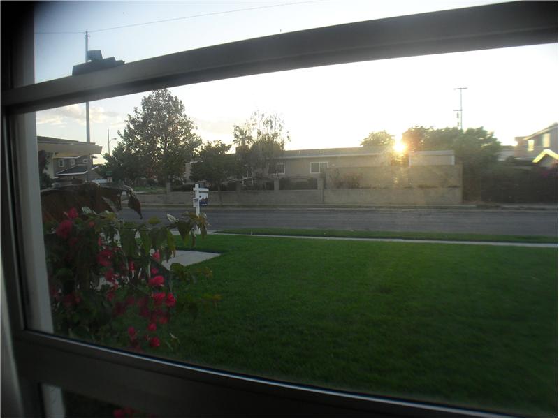 View from Living Room window at sunset