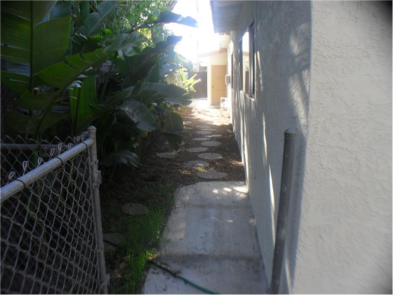 Side yard lined with Birds of Paradise & Dog run