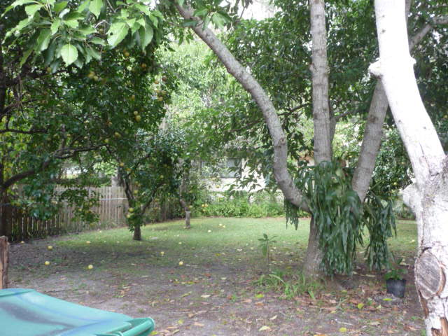 View of back yard