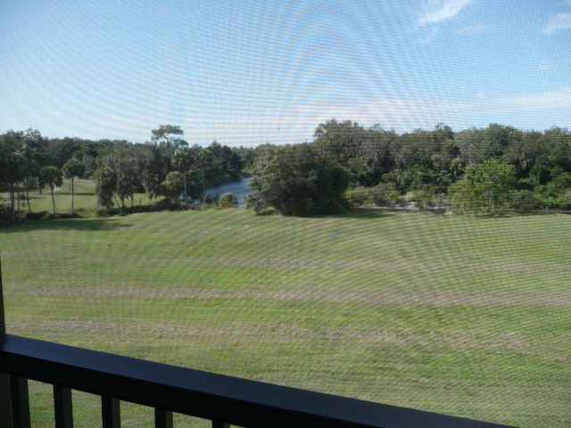 View from Balcony