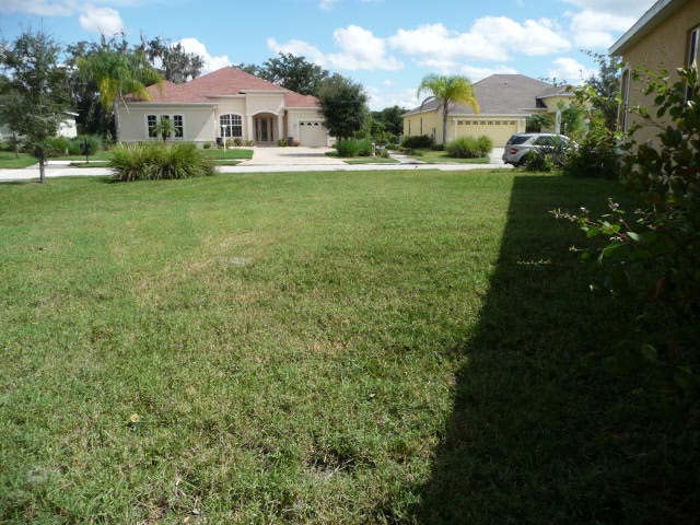 Side Yard