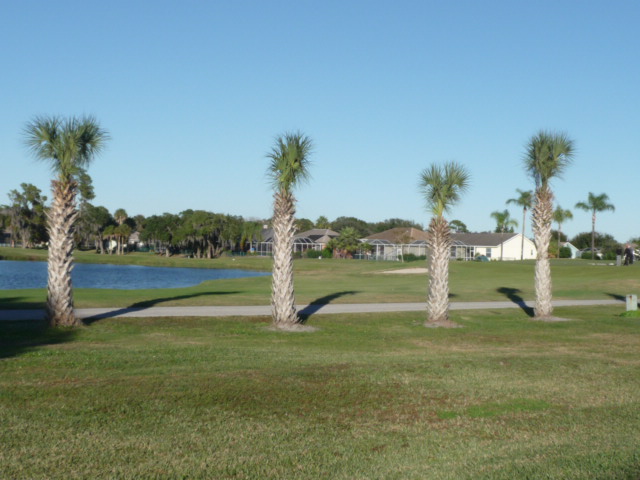 golf course view