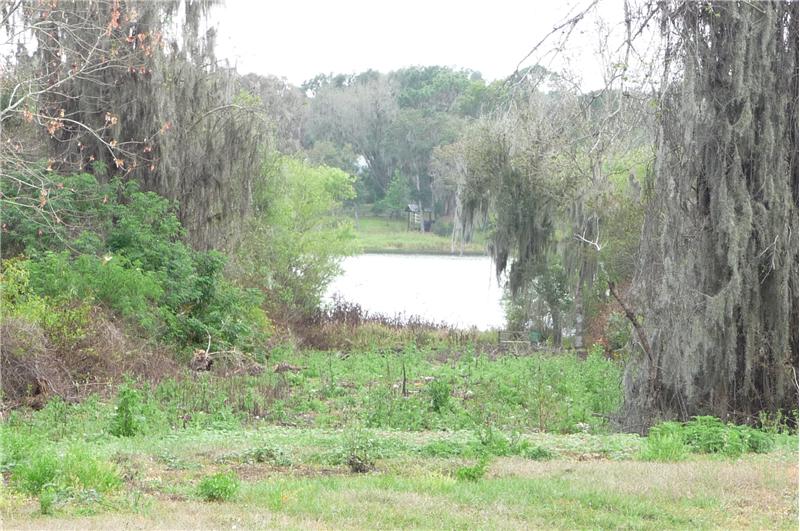 Manatee River