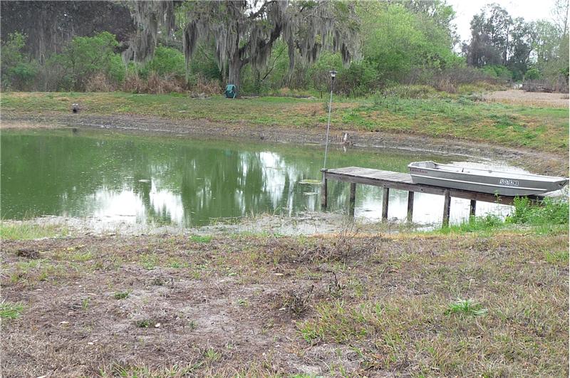 Pond